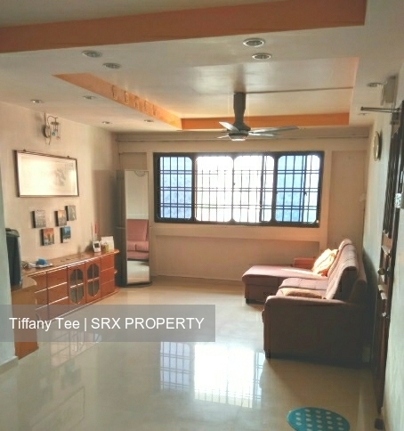 Jurong West Street 42 thumbnail photo